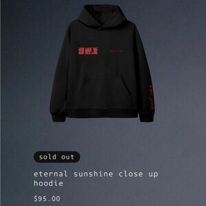 Ariana Grande Eternal Sunshine Hoodie